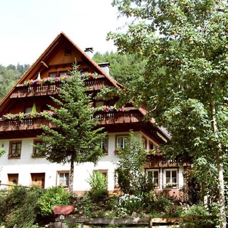 Bartleshof Apartment Wolfach Bagian luar foto