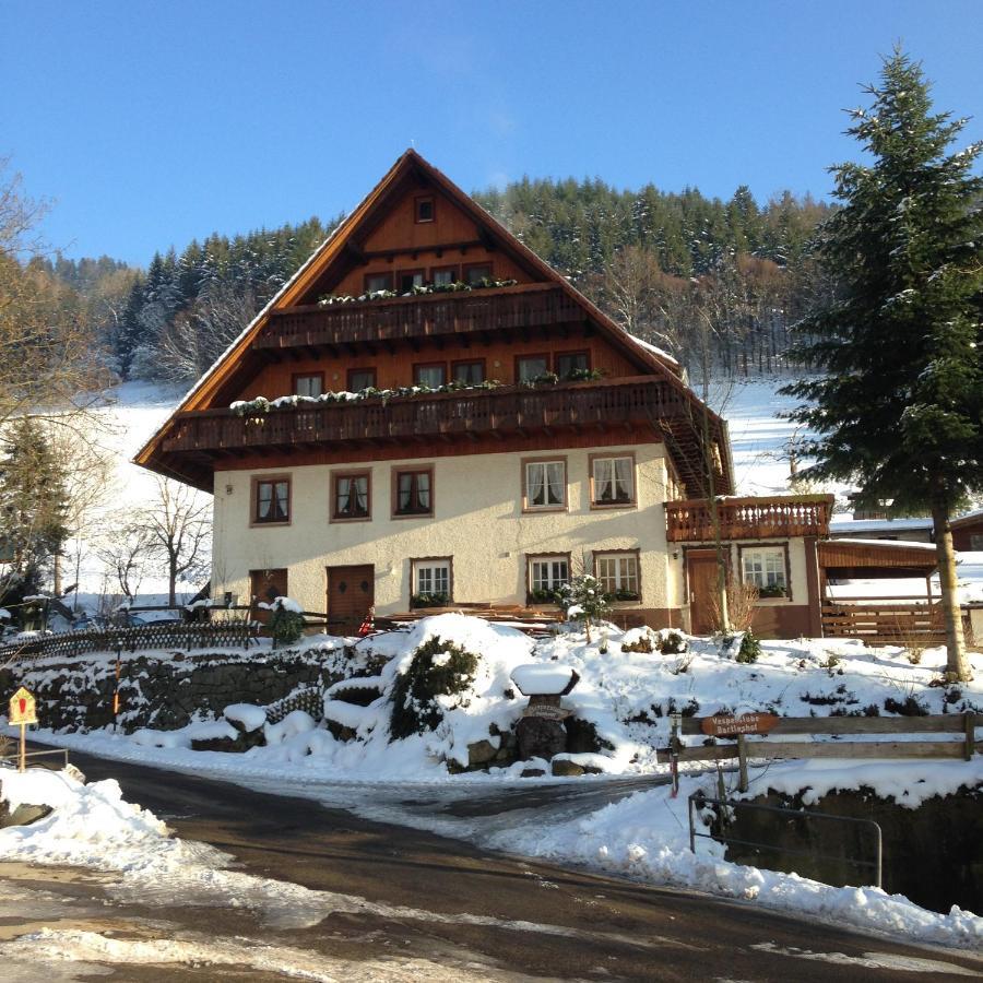 Bartleshof Apartment Wolfach Bagian luar foto