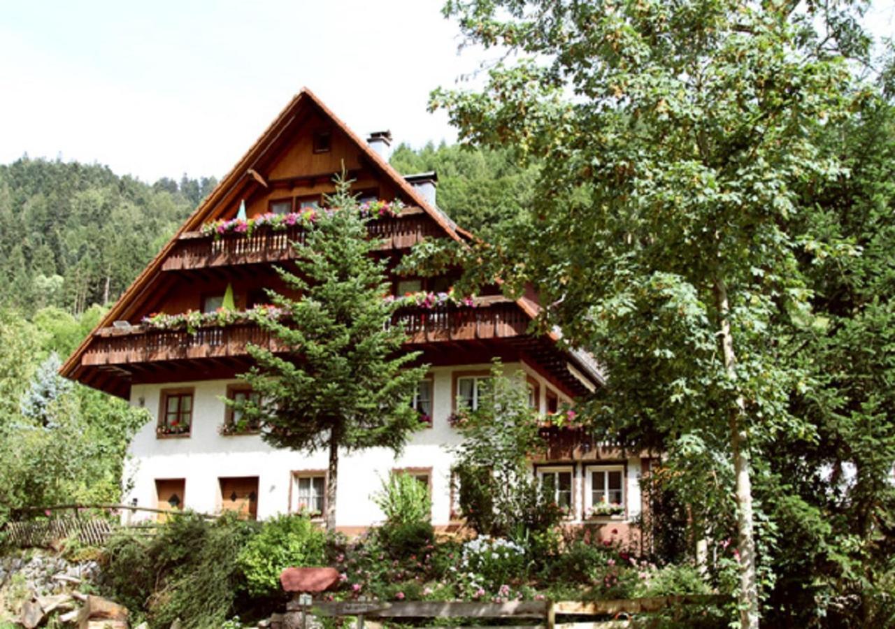Bartleshof Apartment Wolfach Bagian luar foto